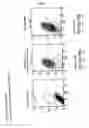 Fig. 09 - Antibody recognizing proliferative human liver cells, proliferative human liver cells and functional human liver cells