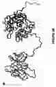 Fig. 04 - Methods for treating cancer using an immunotoxin