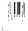 Fig. 06 - Hyphae-Specific Cell Wall Proteins Of Candida