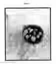 Fig. 02 - Glycolipid adjuvant compositions