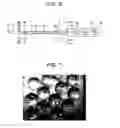 Fig. 06 - Method and device for producing micro-droplets