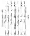 Fig. 02 - Soft tissue implants and drug combination compositions, and use thereof