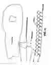 Fig. 16 - Medical device with coating that promotes endothelial cell adherence and differentiation