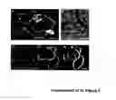 Fig. 03 - Proteins of natural origin and materials made therefrom