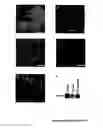 Fig. 05 - Proteins of natural origin and materials made therefrom