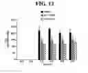 Fig. 17 - Methods of preventing or treating sinusitis with oxidative reductive potential water solution