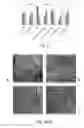 Fig. 04 - Slowly digesting starch and fermentable fiber
