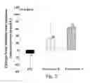 Fig. 05 - Treatment methods requiring phyto-ingredients