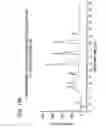 Fig. 15 - Enantioselective oligomerization of alpha-hydroxy carboxylic acids and alpha-amino acids