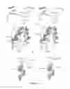 Fig. 06 - Mutants of PhyA phytase and phytase