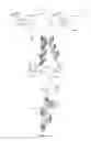 Fig. 07 - Mutants of PhyA phytase and phytase