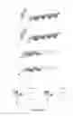 Fig. 12 - Mutants of PhyA phytase and phytase