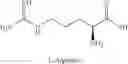 Fig. 04 - Rapidly dissolving solid oral dosage form for delivery of composition for increasing nitric oxide activity
