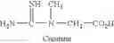 Fig. 02 - Nutritional composition for promoting muscle performance and acting as hydrogen (H+) blocker