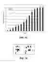 Fig. 06 - Methods and compositions for nerve regeneration