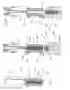 Fig. 11 - Compression moulding apparatus
