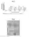 Fig. 04 - Ice-containing products