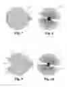 Fig. 09 - Automatic food product breading apparatus