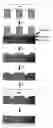 Fig. 01 - Method of self-assembly and optical applications of crystalline colloidal patterns on substrates