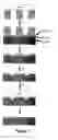 Fig. 02 - Method of self-assembly and optical applications of crystalline colloidal patterns on substrates
