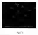 Fig. 14 - Method of self-assembly and optical applications of crystalline colloidal patterns on substrates