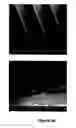Fig. 19 - Method of self-assembly and optical applications of crystalline colloidal patterns on substrates