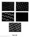 Fig. 21 - Method of self-assembly and optical applications of crystalline colloidal patterns on substrates