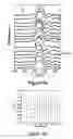 Fig. 27 - Method of self-assembly and optical applications of crystalline colloidal patterns on substrates