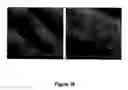 Fig. 29 - Method of self-assembly and optical applications of crystalline colloidal patterns on substrates
