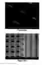 Fig. 41 - Method of self-assembly and optical applications of crystalline colloidal patterns on substrates