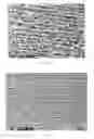 Fig. 02 - Biaxially oriented microporous membrane