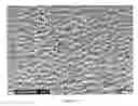 Fig. 04 - Biaxially oriented microporous membrane