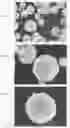 Fig. 02 - Composite particle, composite material including the same, and method of producing the same