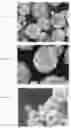 Fig. 03 - Composite particle, composite material including the same, and method of producing the same