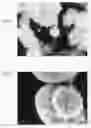 Fig. 04 - Composite particle, composite material including the same, and method of producing the same