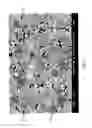 Fig. 02 - Cemented carbide and method of making the same