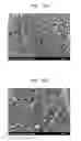 Fig. 05 - POLYMER MEMBRANE, METHOD OF PREPARING THE SAME AND FUEL CELL EMPLOYING THE SAME