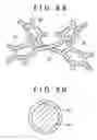 Fig. 09 - Fuel cell and electronic device