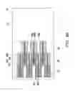 Fig. 21 - Method for crystallizing amorphous silicon into polysilicon and mask used therefor