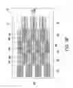 Fig. 26 - Method for crystallizing amorphous silicon into polysilicon and mask used therefor