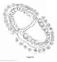 Fig. 07 - Compass tool display object for navigating a tooth model