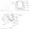 Fig. 03 - Prefabricated Dental Crowns