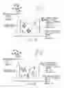 Fig. 02 - Effective method of function analysis and screening of protein utilizing fluorescent light generated by cell-free protein synthesizing system