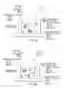 Fig. 03 - Effective method of function analysis and screening of protein utilizing fluorescent light generated by cell-free protein synthesizing system