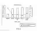 Fig. 04 - Effective method of function analysis and screening of protein utilizing fluorescent light generated by cell-free protein synthesizing system