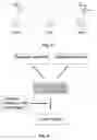 Fig. 04 - Patterning Method For Biosensor Applications And Devices Comprising Such Patterns