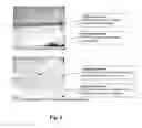 Fig. 06 - Patterning Method For Biosensor Applications And Devices Comprising Such Patterns