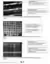 Fig. 07 - Patterning Method For Biosensor Applications And Devices Comprising Such Patterns