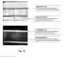Fig. 12 - Patterning Method For Biosensor Applications And Devices Comprising Such Patterns