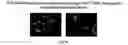 Fig. 102 - Devices and methods for enrichment and alteration of cells and other particles